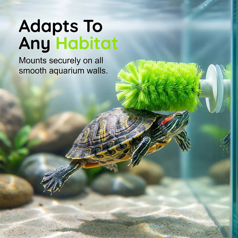 🐢🧼 Teknősök páncéljának tisztítására szolgáló kefe – akváriumokhoz is alkalmas ✨