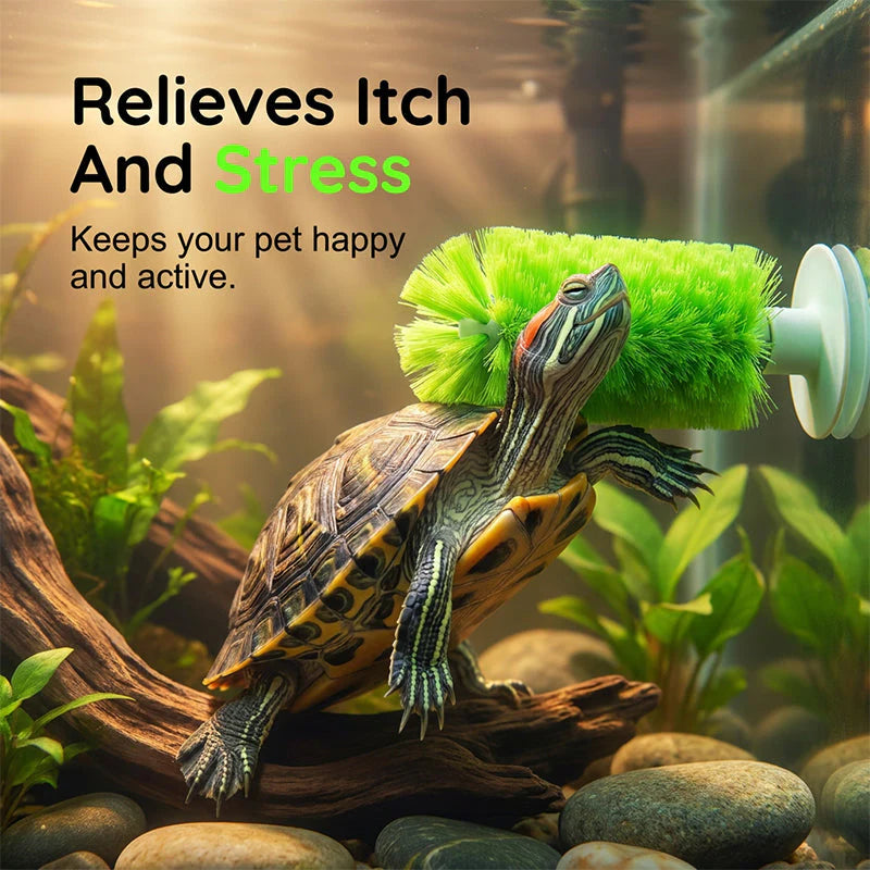 🐢🧼 Teknősök páncéljának tisztítására szolgáló kefe – akváriumokhoz is alkalmas ✨