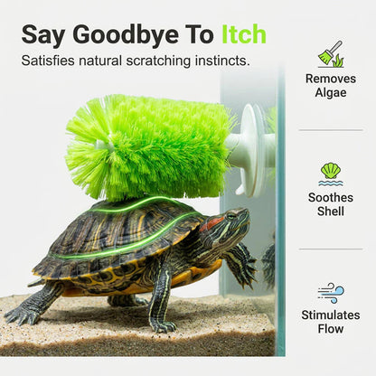 🐢🧼 Teknősök páncéljának tisztítására szolgáló kefe – akváriumokhoz is alkalmas ✨