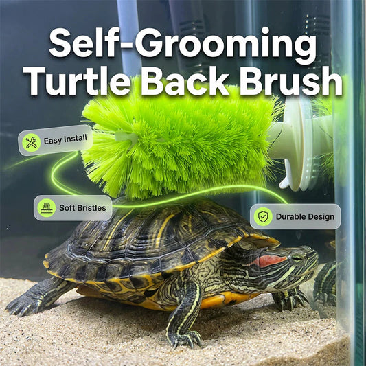 🐢🧼 Teknősök páncéljának tisztítására szolgáló kefe – akváriumokhoz is alkalmas ✨
