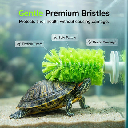 🐢🧼 Teknősök páncéljának tisztítására szolgáló kefe – akváriumokhoz is alkalmas ✨
