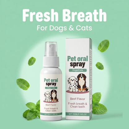 🐶 Kíméletes szájápoló spray háziállatok számára – Napi tisztítás fogmosás nélkül – Frissesség és egészséges lehelet kutyáknak és macskáknak 🐱